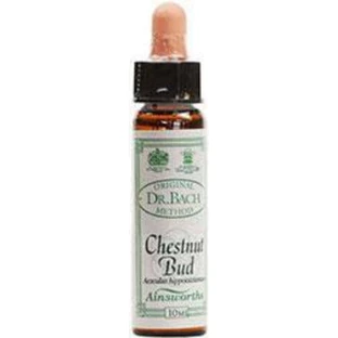 Ainsworths Chestnut Bud Flower Essence Drops 10ml