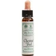 Ainsworths Chestnut Bud Flower Essence Drops 10ml