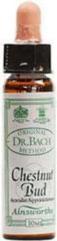Ainsworths Chestnut Bud Flower Essence Drops 10ml