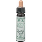 Ainsworths Chestnut Bud Flower Essence Drops 10ml: цены и характеристики