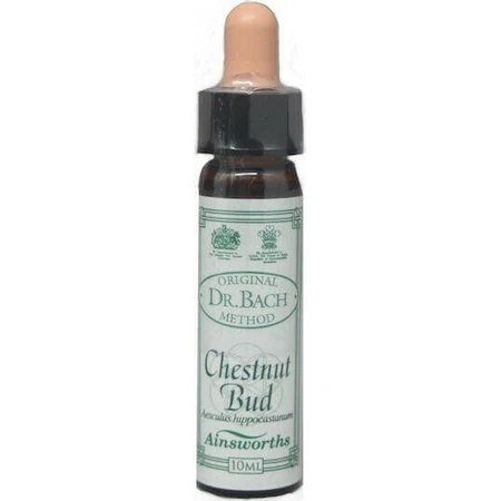 Ainsworths Chestnut Bud Flower Essence Drops 10ml: цены и характеристики