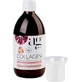 Ag Pharm Collagen Коллаген Гранат и Гиалуроновая кислота с гиалуроновой кислотой 500 мл