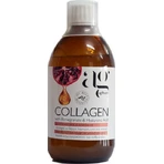 Ag Pharm Collagen Коллаген Гранат и Гиалуроновая кислота с гиалуроновой кислотой 500 мл: цены и характеристики