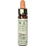 Ainsworths Water Violet Flower Essence в каплях для релаксации 10 мл: цены и характеристики