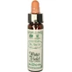Ainsworths Water Violet Flower Essence в каплях для релаксации 10 мл