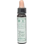 Ainsworths Water Violet Flower Essence в каплях для релаксации 10 мл: цены и характеристики