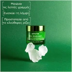 Apivita Bee Radiant White Peony & Patented Propolis Легкий зволожуючий та антивіковий денний крем з гіалуроновою кислотою 50мл: ціни та характеристики