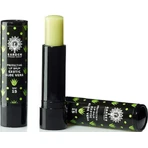 Garden Protecting Lip Balm SPF15 Бальзам для губ SPF15 Алоэ Вера 5,2гр: цены и характеристики