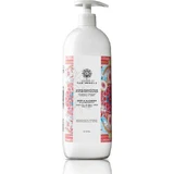 Garden Gentle Cleanser Мягкое антисептическое средство для мытья тела 1000 мл