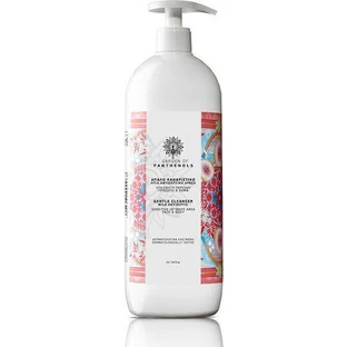 Garden Gentle Cleanser М'який антисептичний гель для душу 1000мл