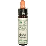 Ainsworths Gentian Flower Essence Drops 10ml: цены и характеристики