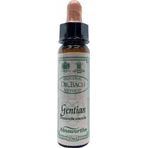 Ainsworths Gentian Flower Essence Drops 10ml: цены и характеристики