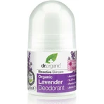 Dr.Organic Лаванда Лаванда Натуральный роликовый дезодорант без алюминия 50 мл: цены и характеристики