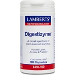 Lamberts Digestizyme 100 капс.: ціни та характеристики