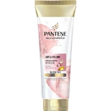 Pantene Pro-V Miracles Lift & Volume Кондиционер для объема 160 мл