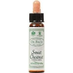 Ainsworths Sweet Chestnut Flower Essence Relaxing Drops 10ml: цены и характеристики