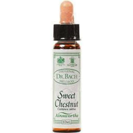 Ainsworths Sweet Chestnut Flower Essence Relaxing Drops 10ml: цены и характеристики