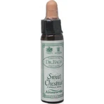 Ainsworths Sweet Chestnut Flower Essence Relaxing Drops 10ml: цены и характеристики
