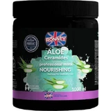 Ronney Ronney Ronney_aloe Ceramides Professional Маска живильна терапія тьмяного та сухого волосся Маска для сухого матового волосся 1000мл