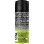 Axe Epic Epic Fresh Grapefruit & Tropical Pineapple Scent Non Stop Fresh Deodorant Body Deodorant 48h Body Deodorant Spray 150ml: цены и характеристики