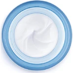 Vichy Aqualia Thermal Rich Увлажняющий крем для лица 48 часов с гиалуроновой кислотой 50 мл: цены и характеристики