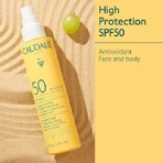 Caudalie Vinosun Солнцезащитный крем для лица и тела SPF50 150 мл Спрей 150 мл: цены и характеристики