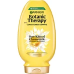 Кондиціонер для фарбування волосся Garnier Botanic Therapy 200 мл: ціни та характеристики
