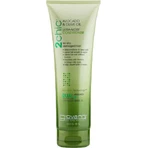Giovanni 2 Chic Ultra Moist for Dry, Damaged Hair Зволожуючий кондиціонер для сухого, пошкодженого волосся 250 мл: ціни та характеристики