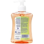 Dettol Грейпфрутовий мильний крем 250мл: ціни та характеристики