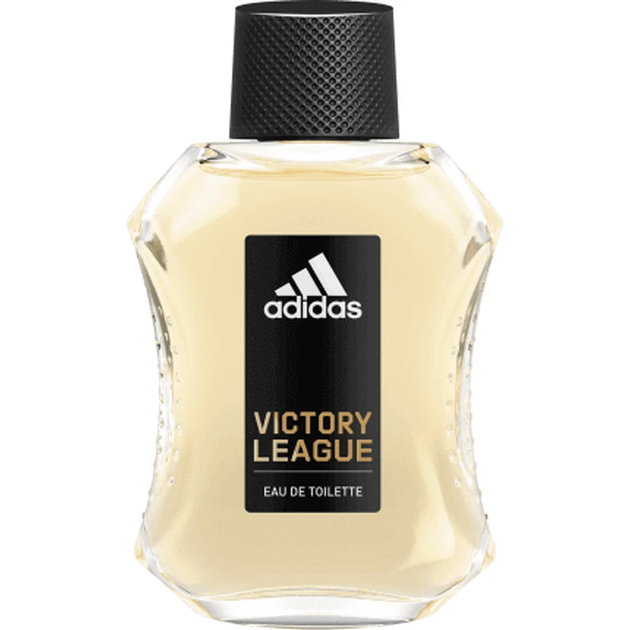 Adidas Victory Туалетная вода 100 мл: цены и характеристики