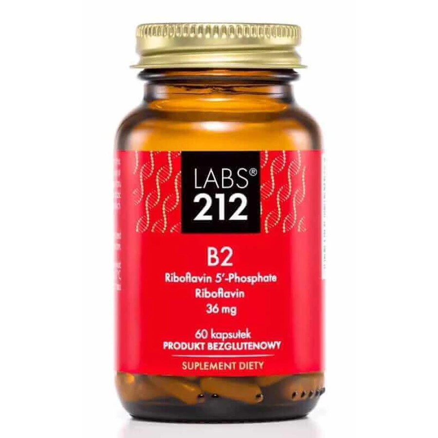 Labs212 Витамин B2 R-5′-P + Рибофлавин (витамин B2) 60 капсул: цены и характеристики