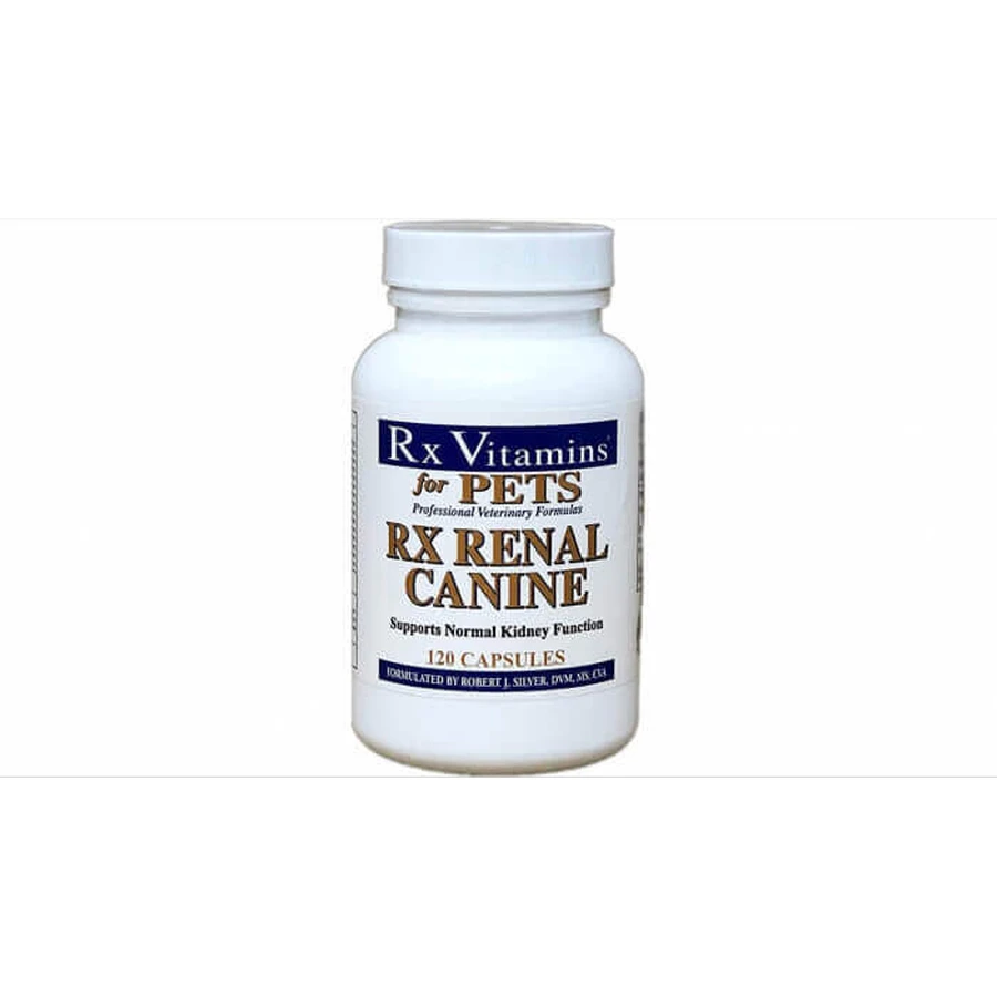 RX Renal Caine 120 капсул: ціни та характеристики