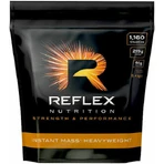 Reflex Nutrition Instant Mass HeavyWeight с креатином и вкусом шоколадного совершенства 5,4 кг: цены и характеристики