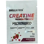Skill Nutrition Micronised Creatine Monohydrate Berry Burst 6gr: ціни та характеристики