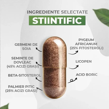 UriControl: пищевая добавка для лечения частого мочеиспускания, 60 капсул, Health Fang: цены и характеристики