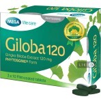 Гилоба капс. 120 мг блистер №30: цены и характеристики