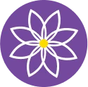 bila-romashka